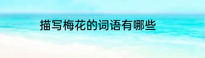 描写梅花的词语有哪些