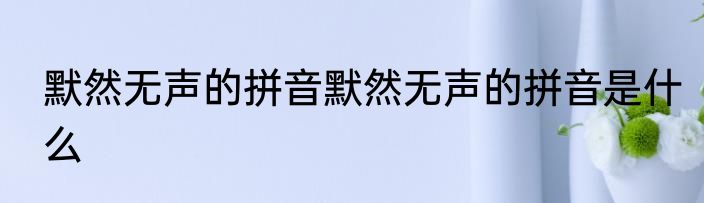 默然无声的拼音默然无声的拼音是什么
