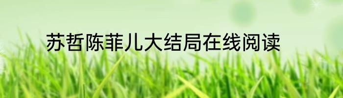 苏哲陈菲儿大结局在线阅读