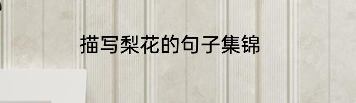 描写梨花的句子集锦