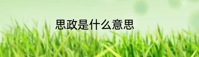 思政是什么意思