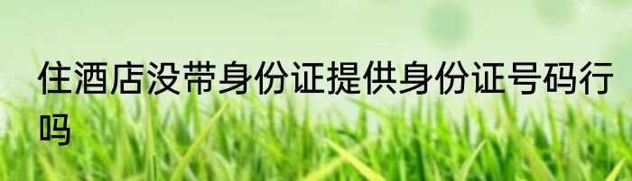 住酒店没带身份证提供身份证号码行吗