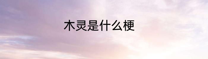 木灵是什么梗