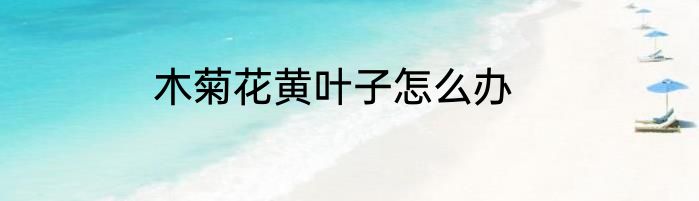 木菊花黄叶子怎么办