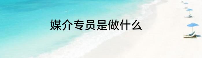 媒介专员是做什么