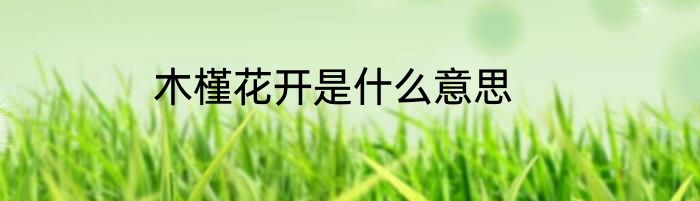 木槿花开是什么意思