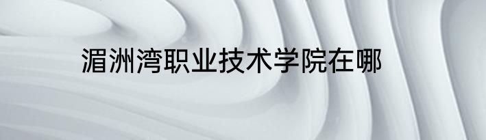 湄洲湾职业技术学院在哪