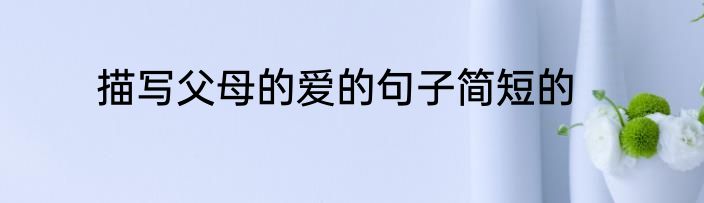描写父母的爱的句子简短的