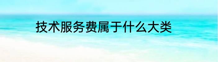 技术服务费属于什么大类