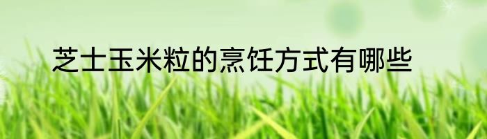 芝士玉米粒的烹饪方式有哪些