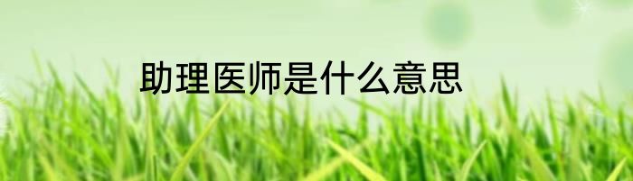 助理医师是什么意思
