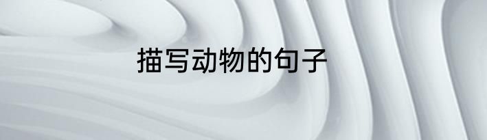 描写动物的句子