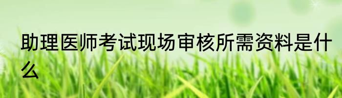 助理医师考试现场审核所需资料是什么