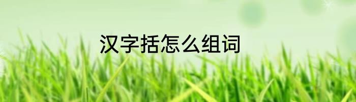 汉字括怎么组词