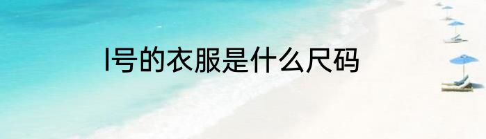 l号的衣服是什么尺码