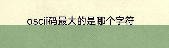 ascii码最大的是哪个字符