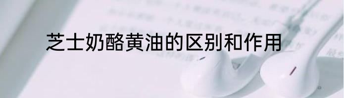 芝士奶酪黄油的区别和作用