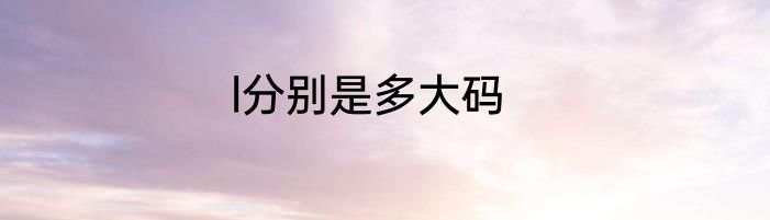 l分别是多大码