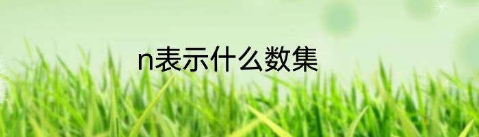 n表示什么数集