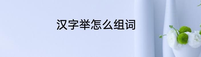 汉字举怎么组词