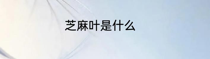 芝麻叶是什么