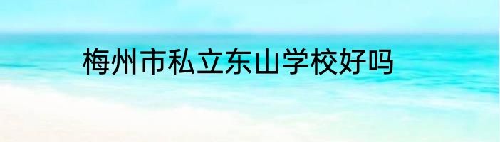 梅州市私立东山学校好吗