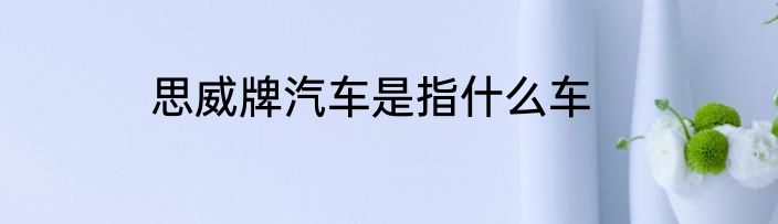思威牌汽车是指什么车