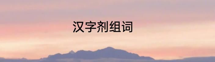 汉字剂组词