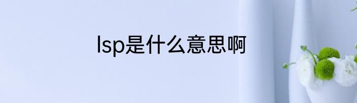 lsp是什么意思啊