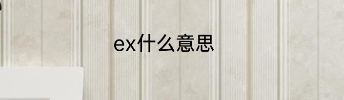 ex什么意思