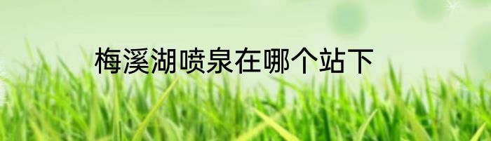 梅溪湖喷泉在哪个站下