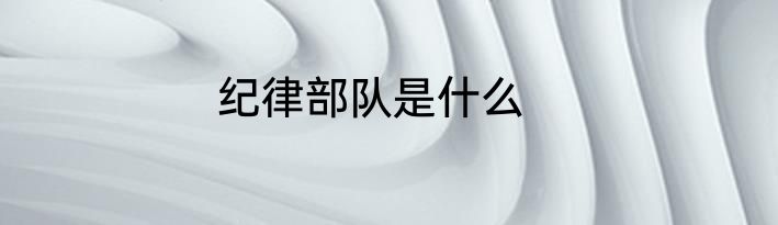 纪律部队是什么