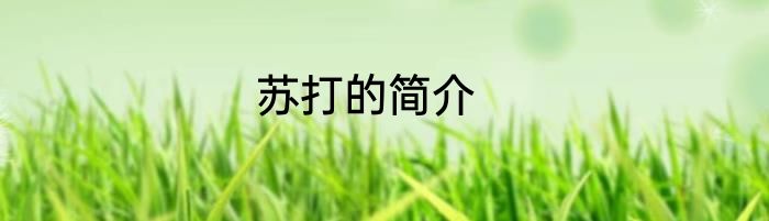 苏打的简介