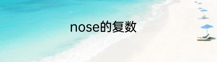 nose的复数