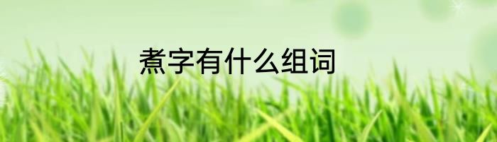 煮字有什么组词