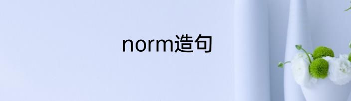 norm造句