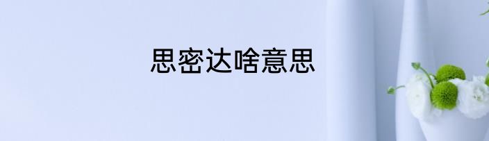 思密达啥意思