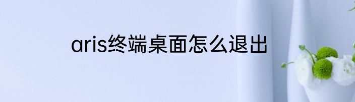 aris终端桌面怎么退出