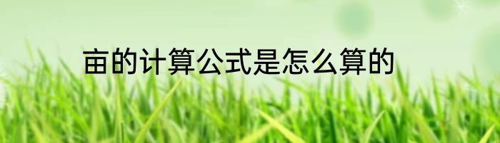 亩的计算公式是怎么算的