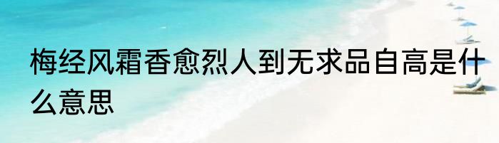 梅经风霜香愈烈人到无求品自高是什么意思