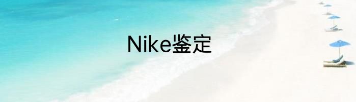 Nike鉴定