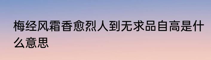 梅经风霜香愈烈人到无求品自高是什么意思