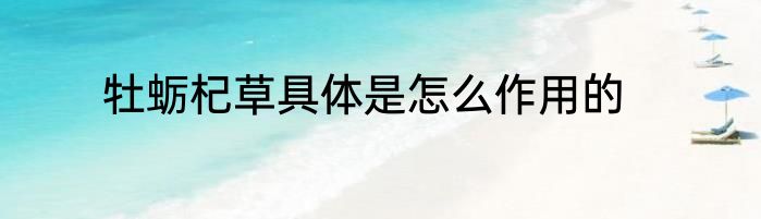牡蛎杞草具体是怎么作用的