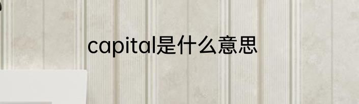 capital是什么意思