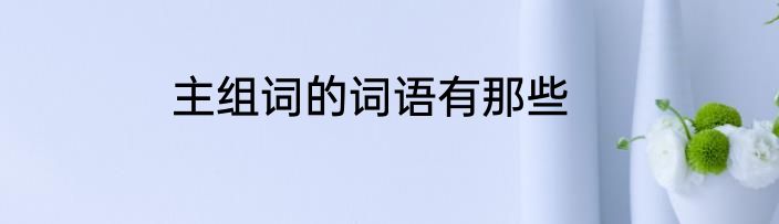 主组词的词语有那些