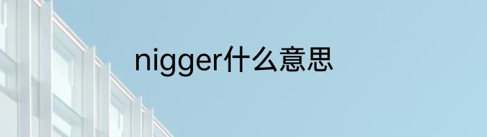 nigger什么意思