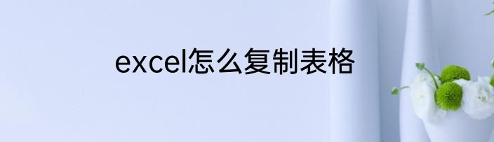 excel怎么复制表格
