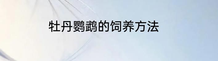 牡丹鹦鹉的饲养方法
