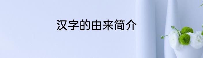 汉字的由来简介