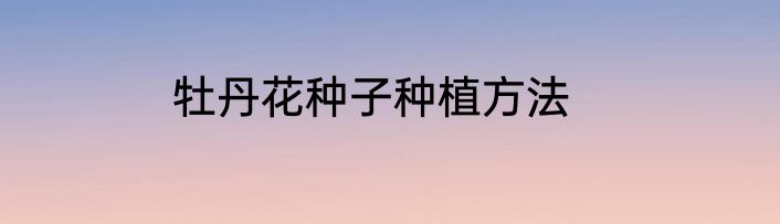 牡丹花种子种植方法